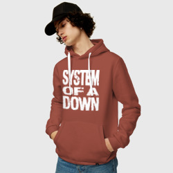 Мужская толстовка хлопок SoD - System of a Down - фото 2