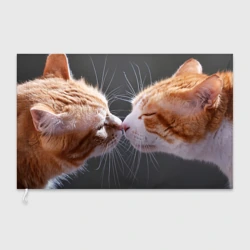 Флаг 3D Кошачья любовь