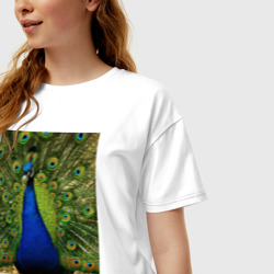 Женская футболка хлопок Oversize Павлин на природе - фото 2
