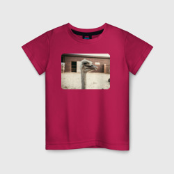 Детская футболка хлопок Страус на ферме