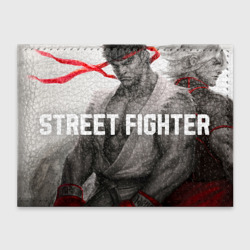 Обложка для студенческого билета Street Fighter: Ryu and Ken