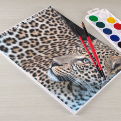 Альбом для рисования Длинный леопард - фото 2