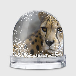 Игрушка Снежный шар Пятнистый леопард куда то смотрит