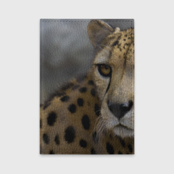 Обложка для автодокументов Пятнистый леопард куда то смотрит