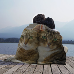 Плед 3D Кот и кошка слиплись - фото 2