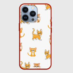 Чехол для iPhone 13 Pro Рыжие котики
