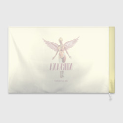Флаг 3D Nirvana - In utero - фото 2
