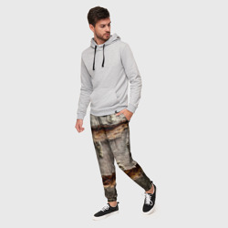 Мужские брюки 3D Деревянный разлом - фото 2