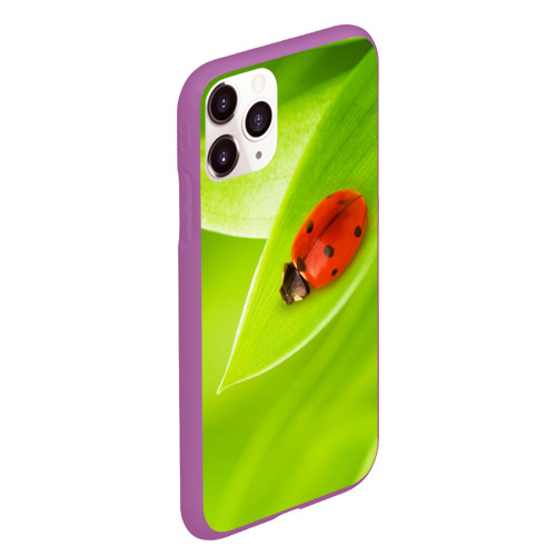 Чехол для iPhone 11 Pro Max матовый Божья коровка на траве, цвет фиолетовый - фото 3