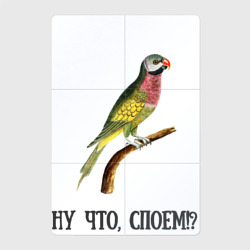 Магнитный плакат 2Х3 Попугай на ветке