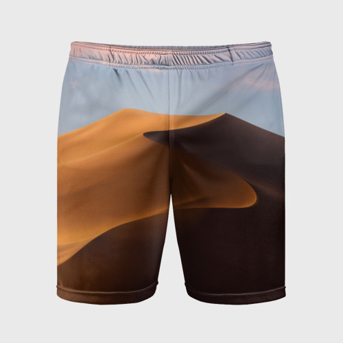 Мужские шорты спортивные Дюна, цвет 3D печать