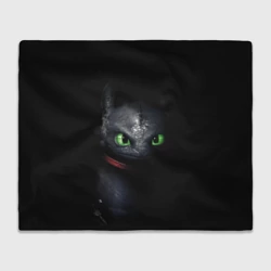 Плед 3D Беззубик в темноте