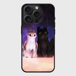 Чехол силиконовый для Apple iPhone 15 Pro Мax матовый Ночная и Дневная фурии