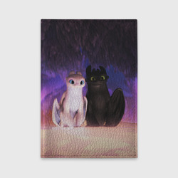 Обложка для автодокументов Ночная и Дневная фурии