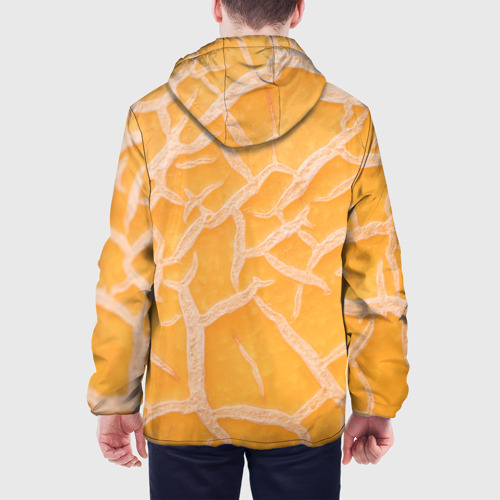 Мужская куртка 3D с принтом Дынный принт, вид сзади #2