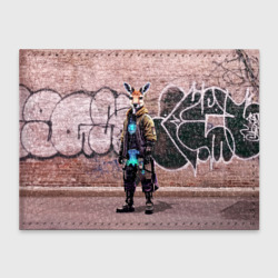 Обложка для студенческого билета Dude kangaroo - Bronx - New York