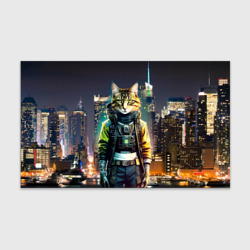 Бумага для упаковки 3D Cool cat in New York city at night