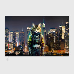Флаг 3D Cool cat in New York city at night