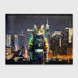 Обложка для студенческого билета Cool cat in New York city at night