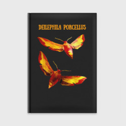 Ежедневник Deilephila porcellus Винный бражник