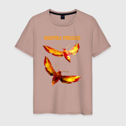 Deilephila porcellus Винный бражник – Мужская футболка хлопок с принтом купить со скидкой в -20%