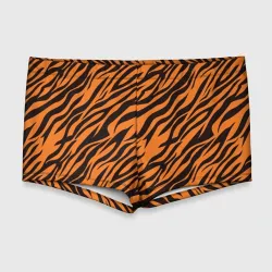 Мужские купальные плавки 3D Полоски тигра - tiger