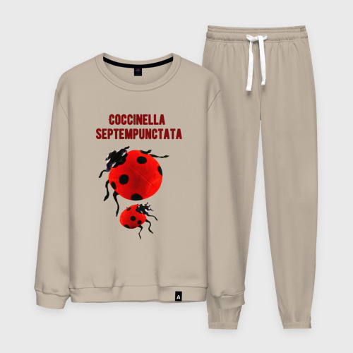 Мужской костюм хлопок Coccinella septempunctata Божья коровка, цвет миндальный