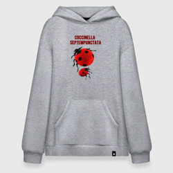 Худи SuperOversize хлопок Coccinella septempunctata Божья коровка