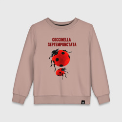 Детский свитшот хлопок Coccinella septempunctata Божья коровка