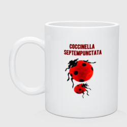 Кружка керамическая Coccinella septempunctata Божья коровка