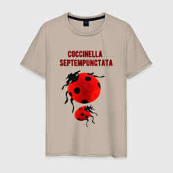 Мужская футболка хлопок Coccinella septempunctata Божья коровка