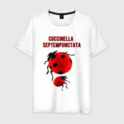 Мужская футболка хлопок Coccinella septempunctata Божья коровка