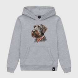 Мужская толстовка хлопок Дратхаар с банданой