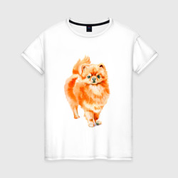 Шпиц - акварель – Женская футболка хлопок с принтом купить со скидкой в -20%