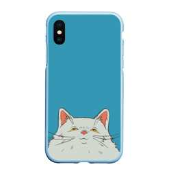 Чехол для iPhone XS Max матовый Толстый и пушистый кот в стиле Миядзаки