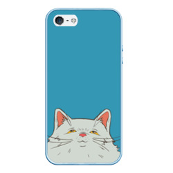 Чехол для iPhone 5/5S матовый Толстый и пушистый кот в стиле Миядзаки