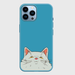 Толстый и пушистый кот в стиле Миядзаки – Чехол для iPhone 14 Pro Max с принтом купить