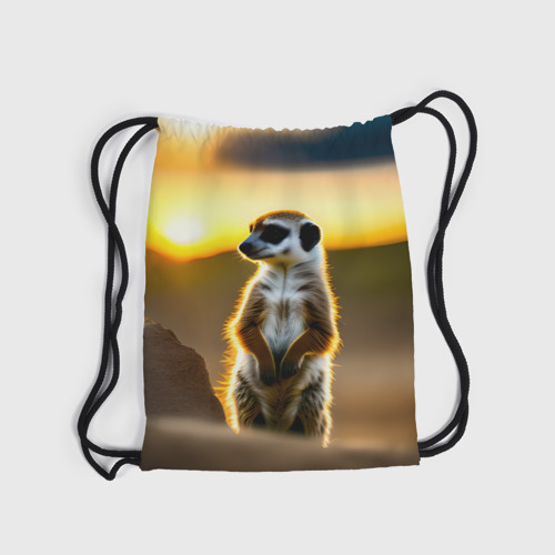 Рюкзак-мешок 3D Сурикат на фоне рассвета - фото 6