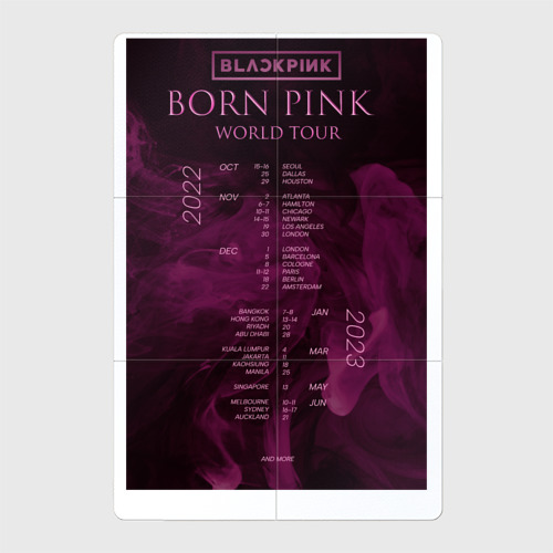 Магнитный плакат 2Х3 Blackpink world tour Born Pink постер