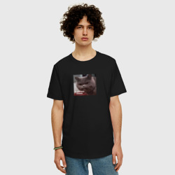 Мужская футболка хлопок Oversize Кот "не беси меня слышеш" - фото 2