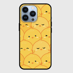 Чехол для iPhone 13 Pro Милые птенчики
