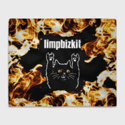 Плед 3D Limp Bizkit рок кот и огонь