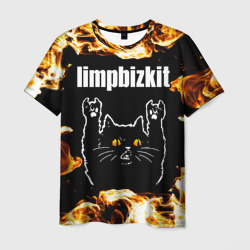 Мужская футболка 3D Limp Bizkit рок кот и огонь