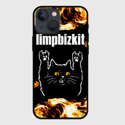 Чехол для iPhone 13 mini Limp Bizkit рок кот и огонь