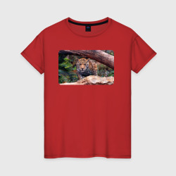 Ягуар охотится – Женская футболка хлопок с принтом купить со скидкой в -20%