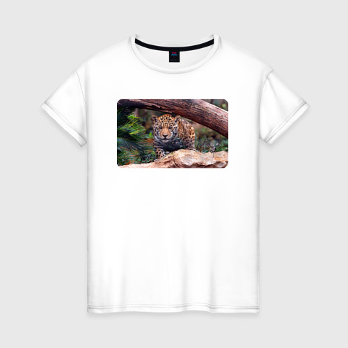 Женская футболка из хлопка с принтом Ягуар охотится, вид спереди №1