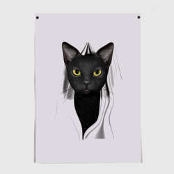 Постер Чёрная кошка 3d иллюзия