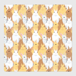 Магнитный плакат 3Х3 Белые, рыжие, коричневые, серые кролики