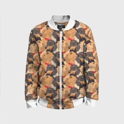 Детский бомбер 3D Собаки породы Такса