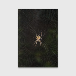 Обложка для паспорта матовая кожа Паук на паутине фото